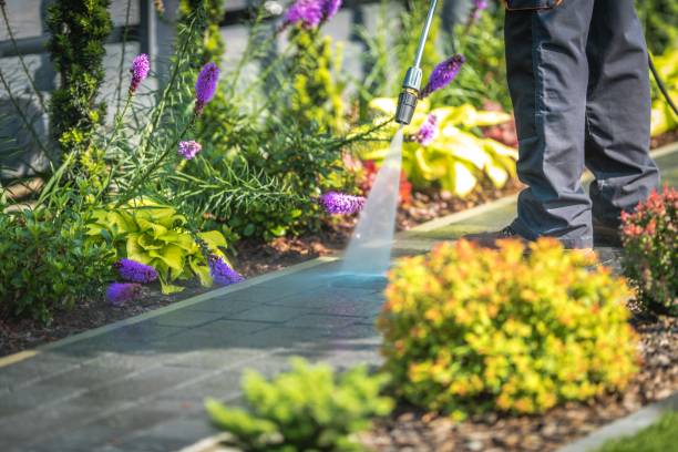 Reliable Nitro, WV Pressure Washing Services Solutions